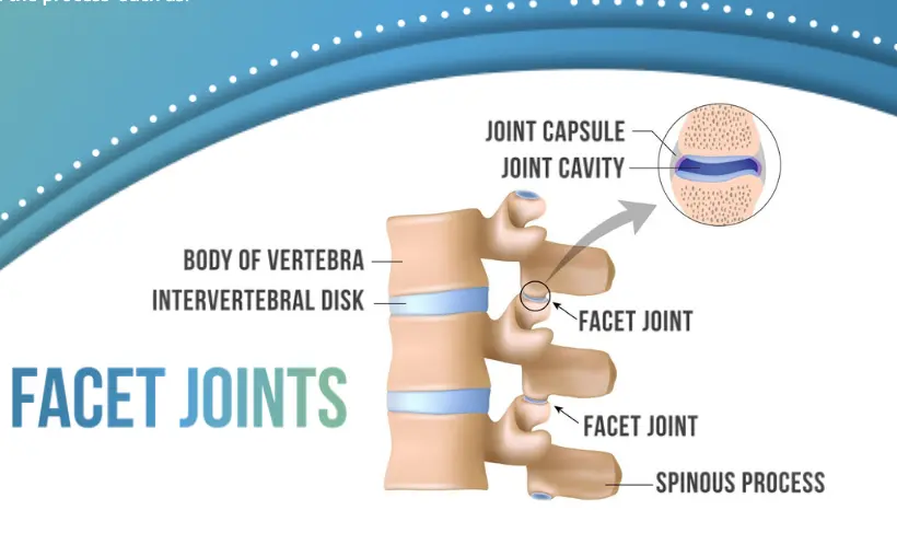 What Happens During a Chiropractic Adjustment?